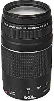 Amazon.com : Canon EF 75-300mm f/4-5.6 III Telephoto Zoom Lens for