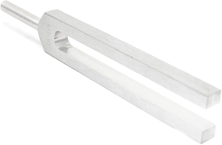 Amazon.com: BIOSONICS 432 Hz Tuning Fork - A-432 Hz Tuning System