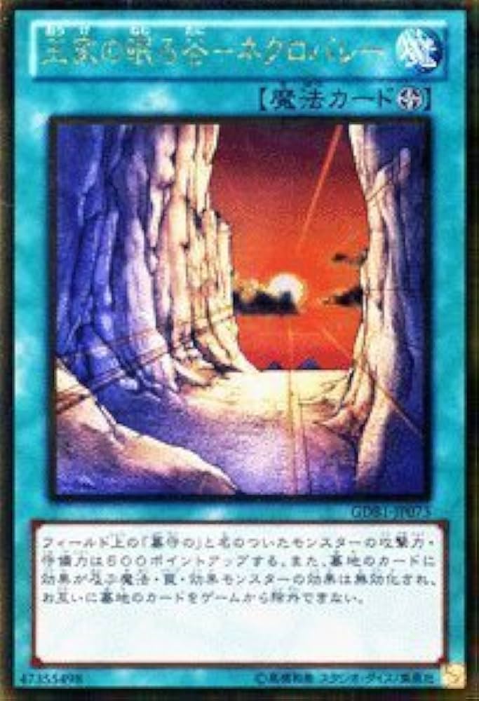 Amazon.co.jp: 遊戯王カード 【王家の眠る谷－ネクロバレー