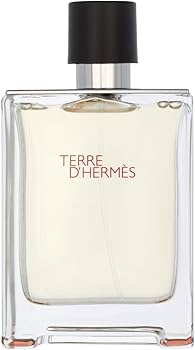 Amazon | Hermès Terre D'hermès Eau De Toilette 100ml エルメス