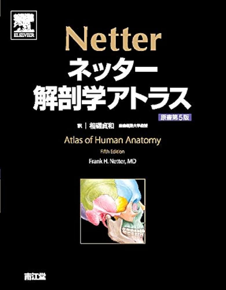 ネッター解剖学アトラス 原書第5版 | Frank H.Netter, 相磯 貞和 |本
