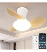 Amazon.co.jp : TENKOO&YOU シーリングファンライト led【間接光で映画