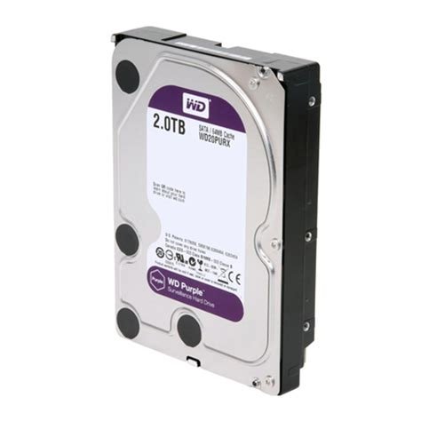 Amazon.com: Western Digital WD Purple Harddisk 3.5