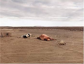 Amazon.com: Richard Misrach: Chronologies: 9781933045283: Misrach