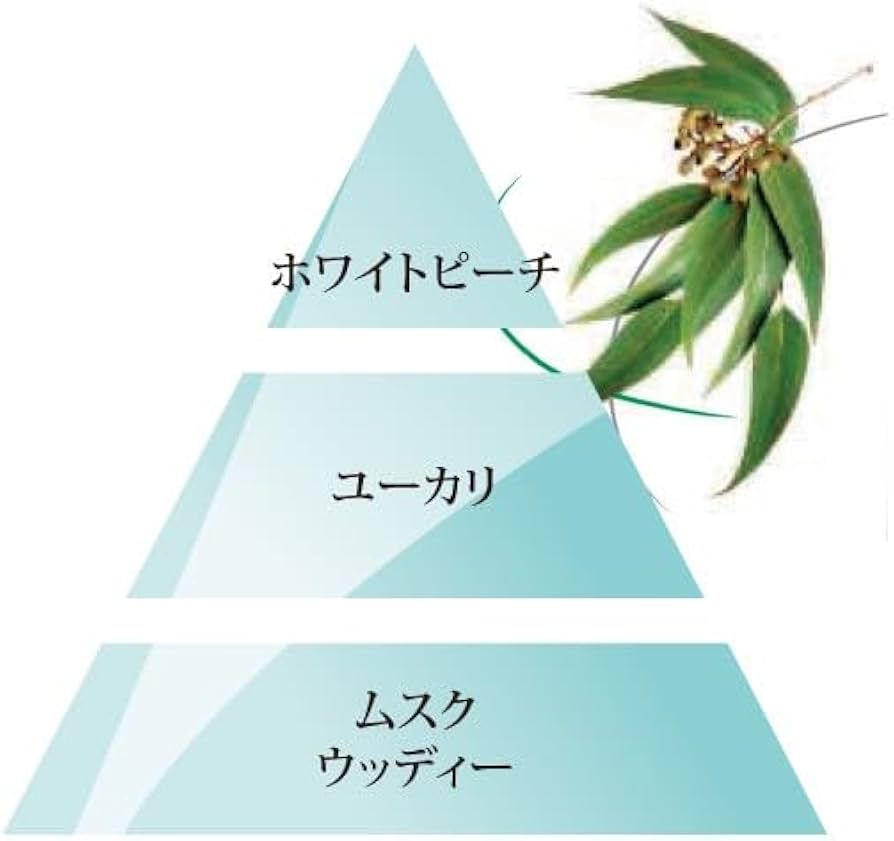 Amazon.co.jp：ランプベルジェ（LAMPE BERGER） 【正規輸入品】1L