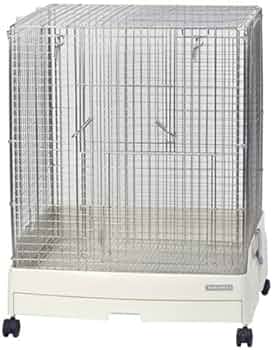 41aNsXB-KgL._AC_UF350,