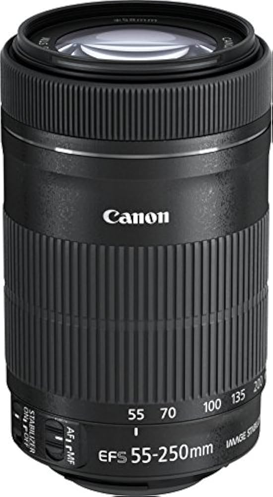 Amazon.co.jp: Canon レンズ EF-S55-250mm F4-5.6 IS STM : 家電＆カメラ