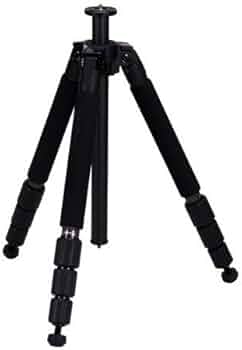 41cTV7vFfyL._AC_UF350,