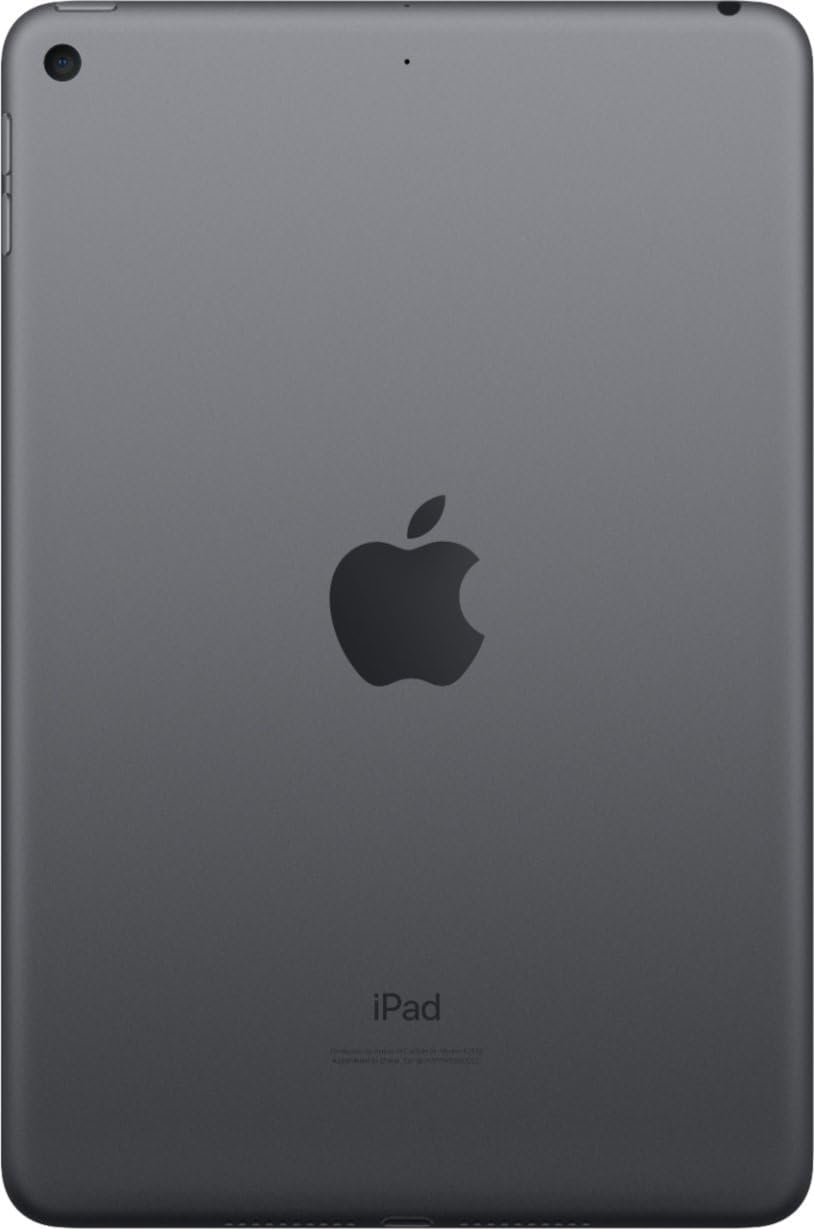 Amazon.com : Apple 2019 iPad mini 7.9-inch, WiFi, 256GB - Space