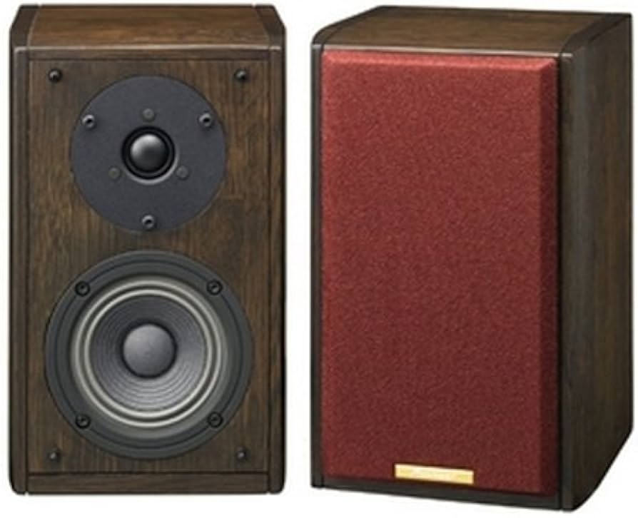 Amazon.co.jp: パイオニア ピュアモルトスピーカー (1台) S-A4SPT-VP