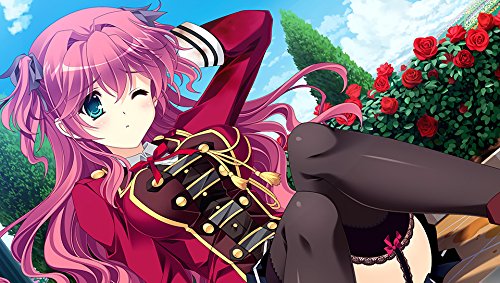 Amazon.co.jp: 執事が姫を選ぶとき 初回限定版 (【特典】オリジナル