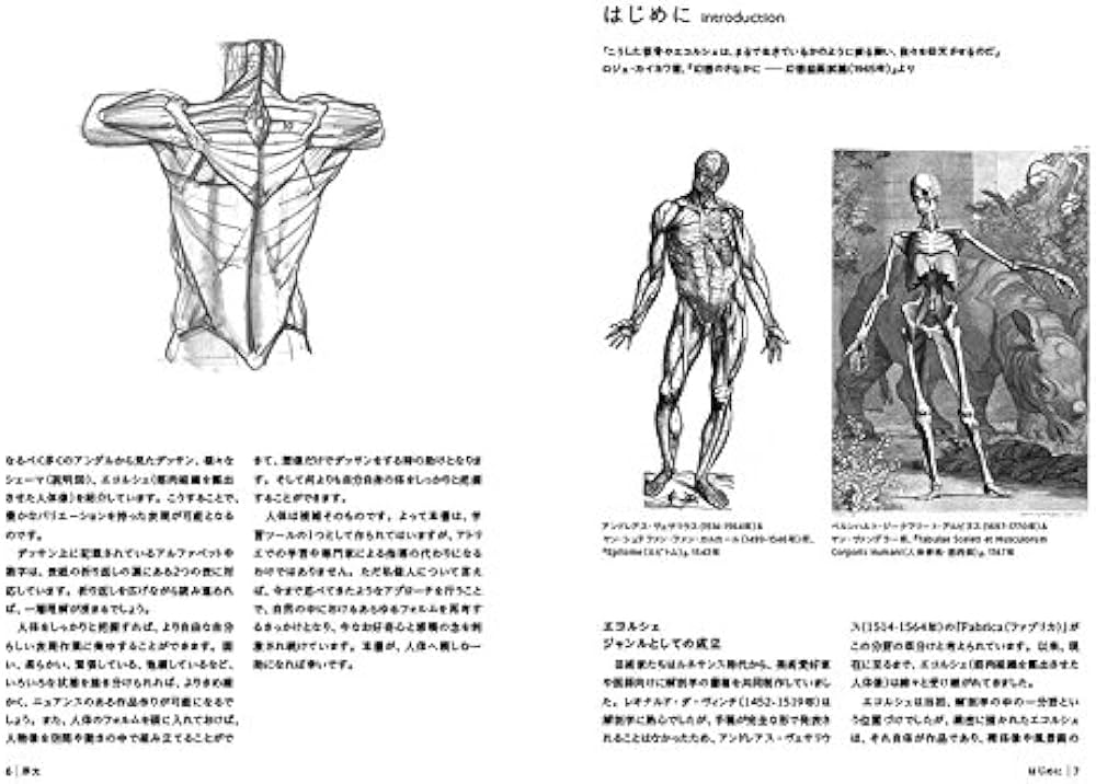 Amazon.co.jp: モルフォ人体デッサン 形態学による人体を描くための新