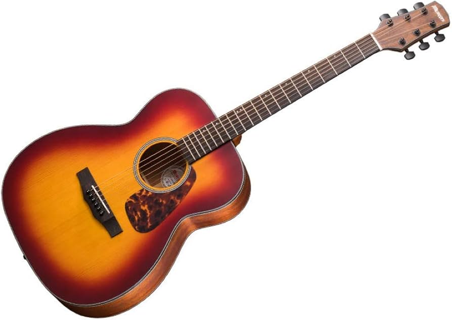 Amazon.co.jp: Morris モーリス Perfomers Edition F-021 RBS