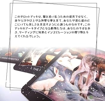 Amazon.co.jp: ガーディアン オブ ザ ナイト タロット The Guardian of