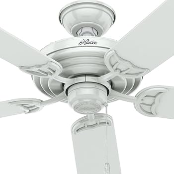 Hunter 52 inch Outdoor or Indoor Ceiling Fan No Light - White