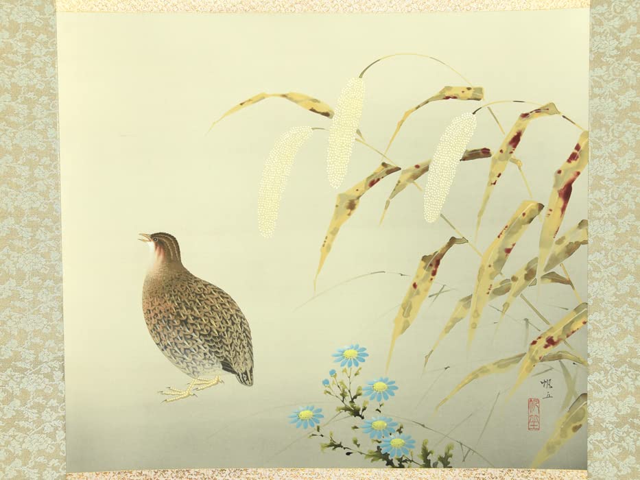 Amazon.co.jp: 真作 山田帆丘 （作） 「栗に鵜」 軸 掛軸 共箱 花鳥