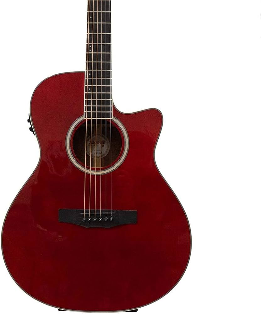 Amazon | MORRIS R-011 SR エレクトリック アコースティックギター