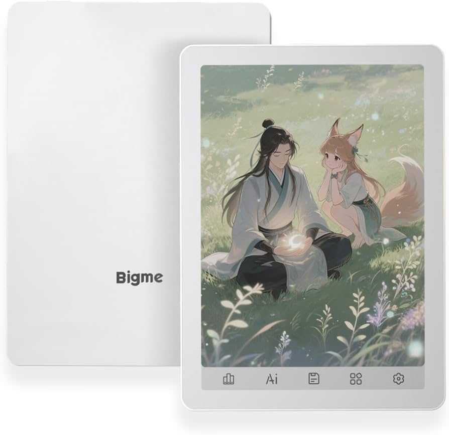 Amazon.com: Bigme B6 Color Ebook Reader, 6 Inch e-Paper Tablet