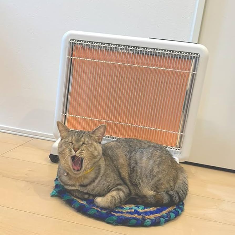 Amazon | サンルミエシリーズ最上位モデル エクセラ7 (シャンパン