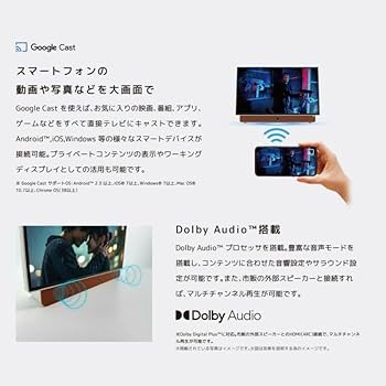 Amazon | ORION オリオン ポータブルスマートディスプレイ 24V型 フル