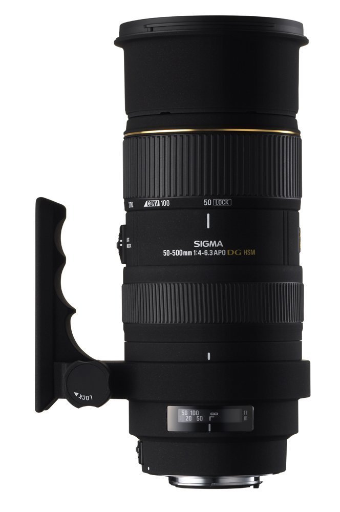 Amazon.co.jp: シグマ 50-500mm F4-6.3 EX DG HSM キヤノン用