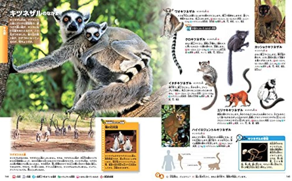 DVD付 動物 (講談社の動く図鑑MOVE) | 山極 寿一, 講談社 |本 | 通販