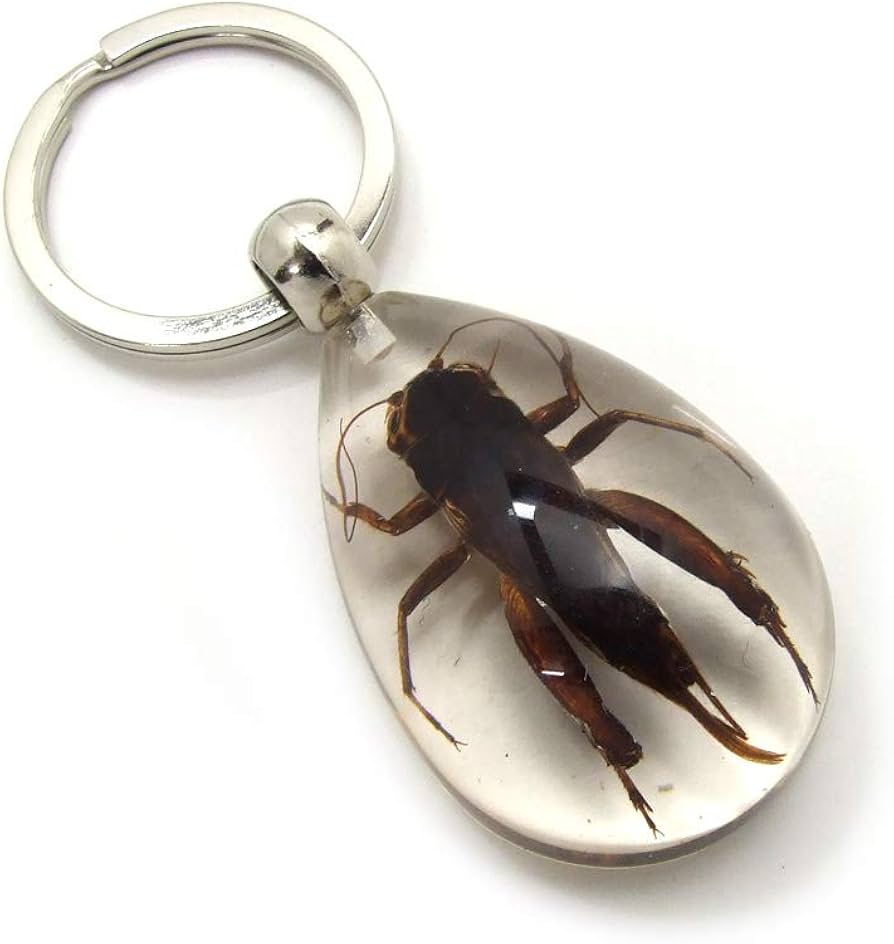 Amazon.co.jp: 【Re・Best】 Insect Keyring 【コオロギ】SK5610 昆虫