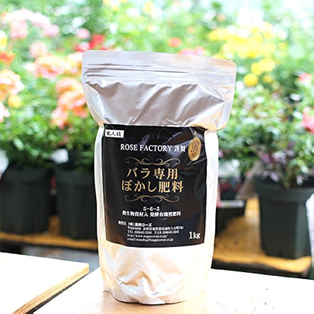 バラ苗(入手困難廃盤品種) 超激レア種 接ぎ木大苗 アール・デコ バラ苗