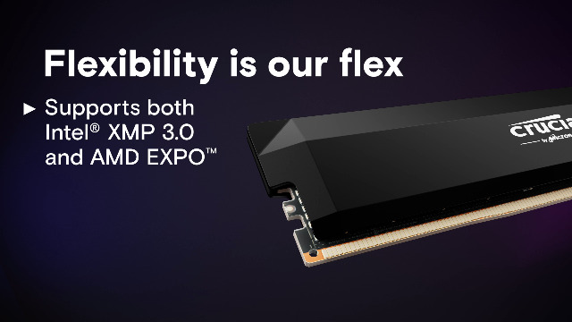 メモリー Crucial DDR5 Pro 32GB (2x16GB) 6000MHz Crucial Pro 32GB