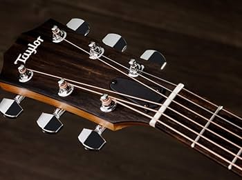 Amazon.com: Taylor 114ce Acoustic Guitar : Musical Instruments