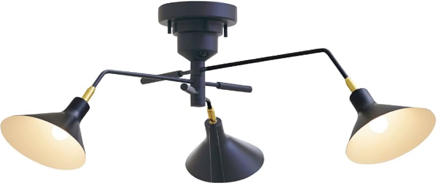 Amazon.co.jp : インターフォルム シーリングライト LT-9520BK ロネ