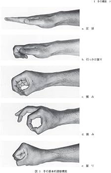 51+n6VlKUaL._AC_UF350,