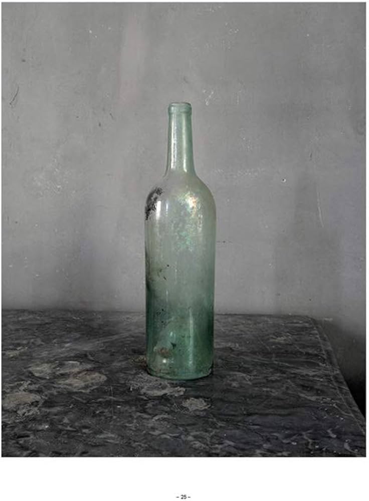 Amazon | Joel Meyerowitz: Cézanne's Objects | Meyerowitz, Joel