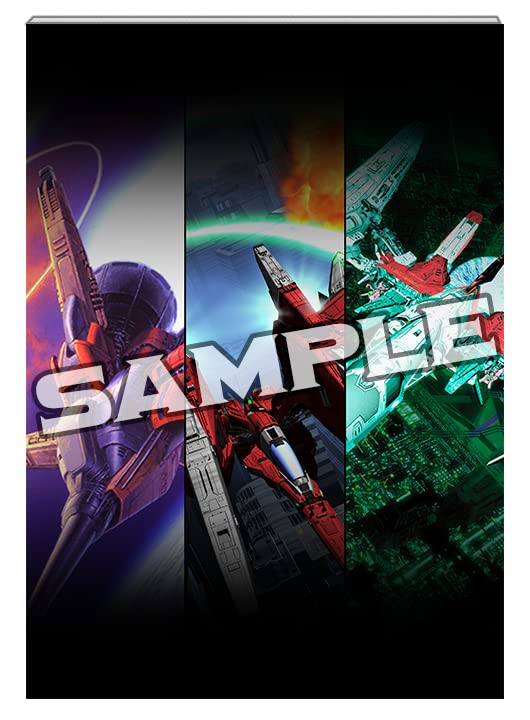 Amazon.co.jp: レイズ アーケード クロノロジー 特装版 -Switch : ゲーム