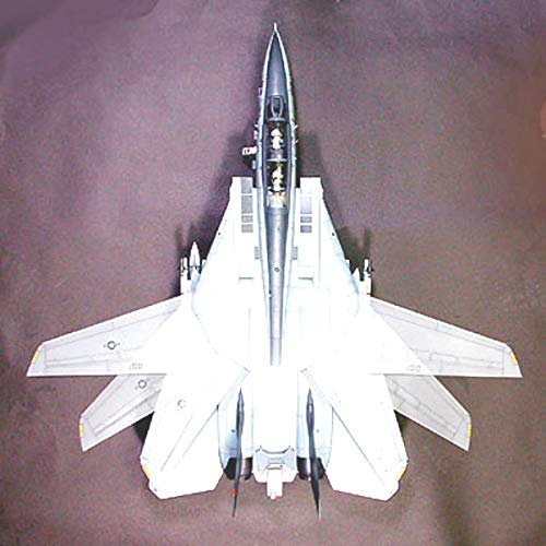 Amazon.com: Tamiya F-14A Tomcat Black Knights 1/32 Aircraft