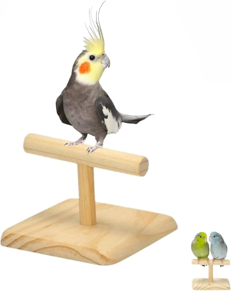 Amazon | SASATO インコ 止まり木 スタンド T字止まり木 天然木 鳥