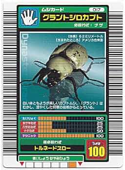 51u5rKykpYL._AC_UF350,