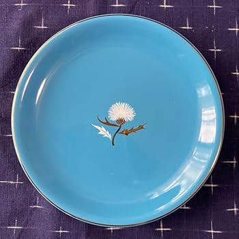 51u8wMZjV4L._AC_UF350,