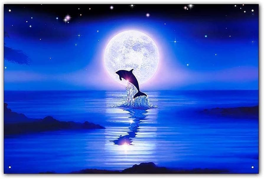 クリスチャン・リース・ラッセン Dolphin Quest Ⅱ 1997年