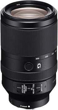 Amazon.com : Sony FE 70-300mm f/4.5-5.6 G OSS Lens for Sony E
