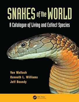 51wWyf1p6iL._AC_UF350,