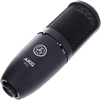 Amazon.com: AKG Pro Audio P120 - Affordable 2/3-Inch Diaphragm