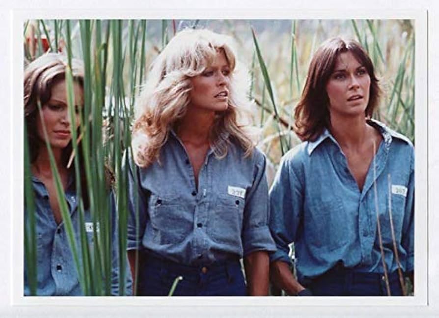 Amazon.co.jp: ファラ・フォーセット ジャクリン・スミス ケイト