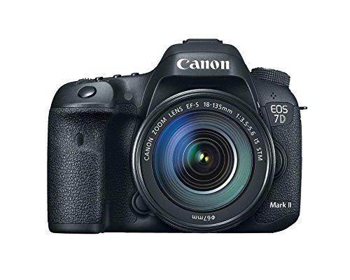 デジタル一眼カメラ eos7d」の人気商品一覧 | 安い商品を通販サイト