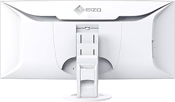 Amazon.co.jp: EIZO ビジネス向けウルトラワイド曲面モニター