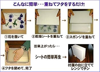Amazon.co.jp: フラワーアート夢大陸 野原で楽しむ押し花キットM