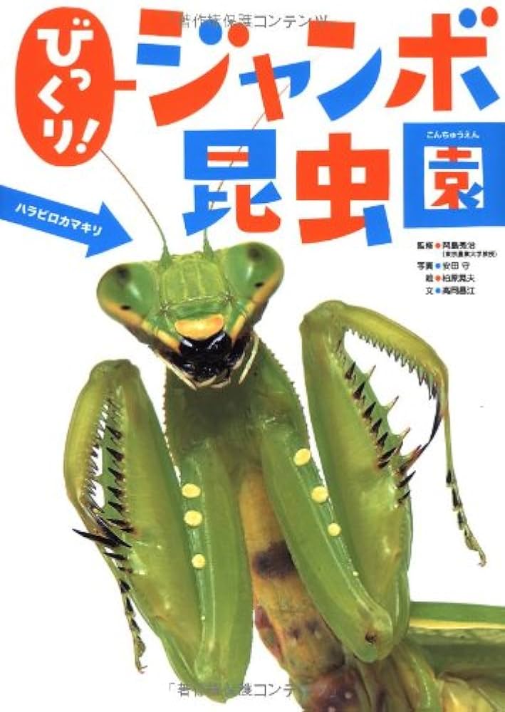 Amazon.co.jp: びっくり！ジャンボ昆虫園 (図鑑単品) : 高岡 昌江