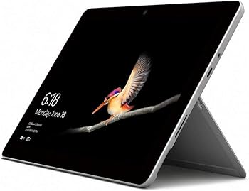 Amazon.com: Microsoft Surface Go (Intel Pentium Gold, 8GB RAM