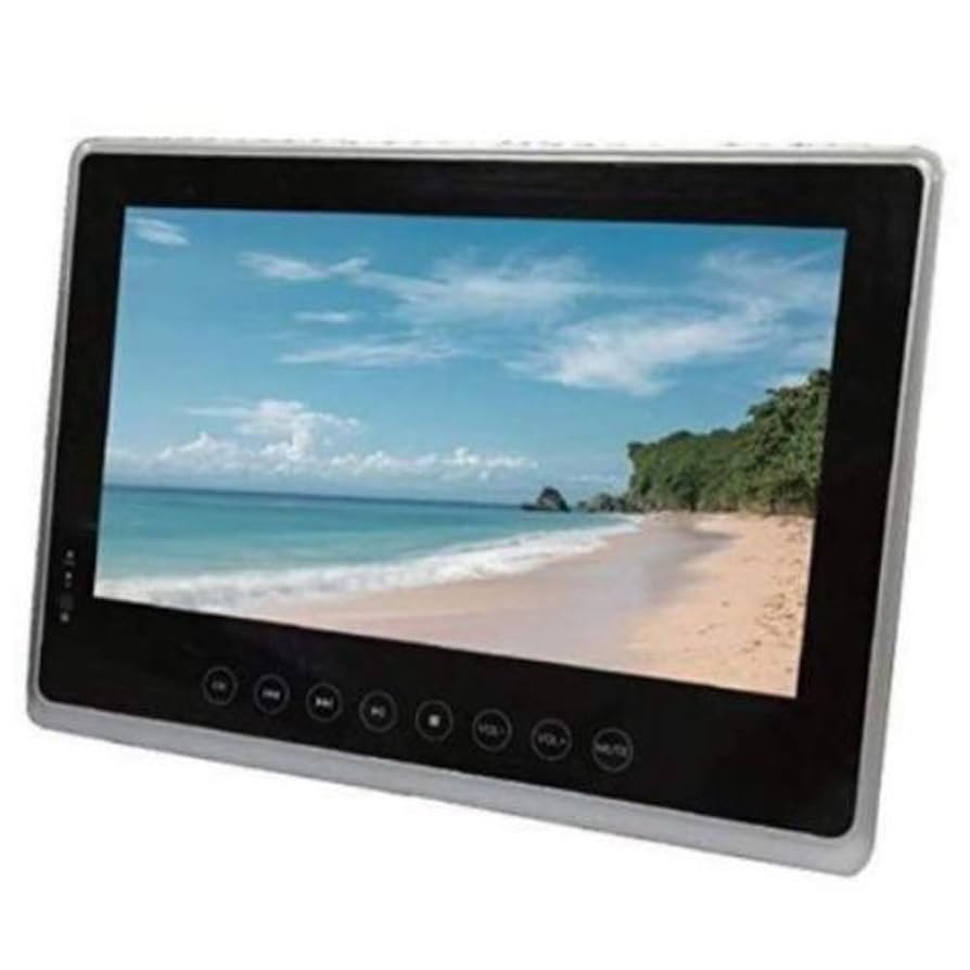 アグレクション 101PB 10インチ ブルーレイ/DVDプレーヤー ポータブル