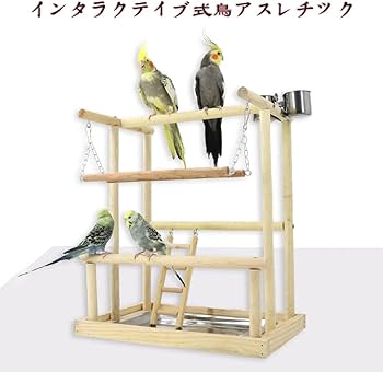 Amazon | 鳥アスレチック バードアスレチック インコ 遊び場 止まり木